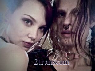 2_trans_cam