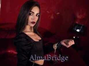 AlmaBridge