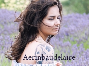 Aerinbaudelaire