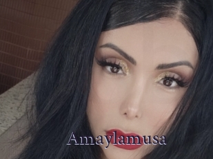 Amaylamusa