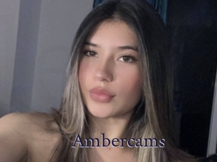 Ambercams
