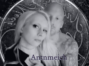 Antnmeich