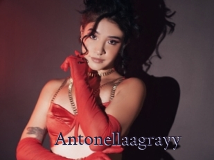 Antonellaagrayy