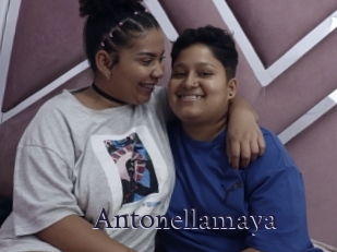 Antonellamaya
