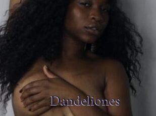 Dandeliones