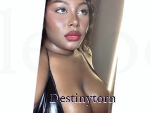 Destinytorn