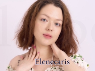 Elenecaris
