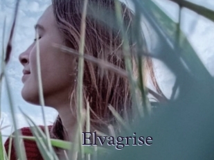 Elvagrise