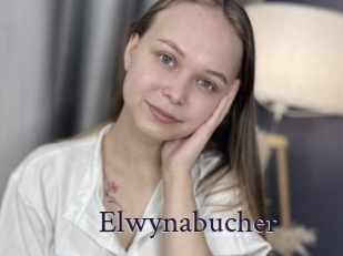 Elwynabucher