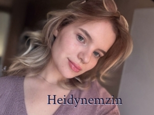 Heidynemzin