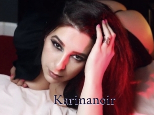Karinanoir