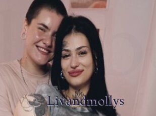 Livandmollys