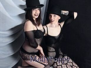 MollyPoppy