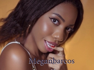 Meganbarcos