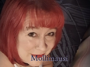 Mollimausi