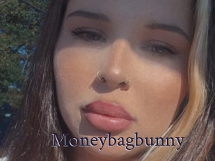 Moneybagbunny