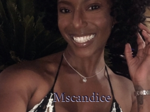Mscandice