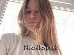 Nikollespark