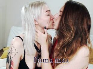 Puma_maa