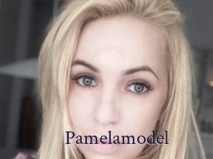 Pamelamodel