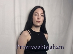 Primrosebingham