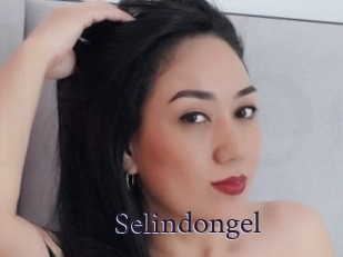 Selindongel