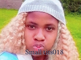 Small_tits018