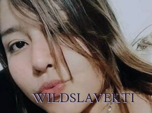 WILDSLAVEKTI