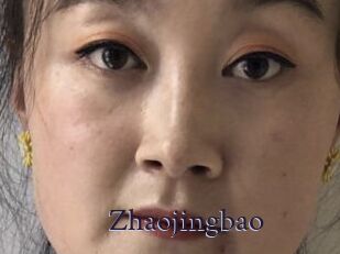 Zhaojingbao